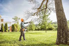 Trusted Pomona, NY Tree Removal Experts